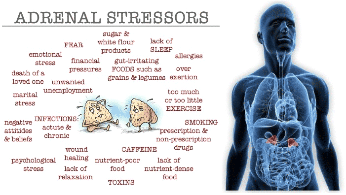 Causes of stress in the adrenal glands.