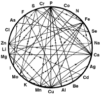 Mineral relationships for nutritional balancing.