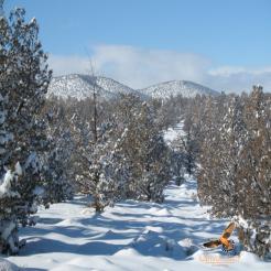 images/retreats/gallery2/clinebuttes-snow.jpg
